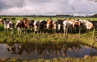 Zoektocht naar innovaties in melkveehouderij weer van start