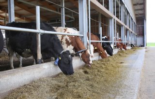 'Openstellen Klimaatfonds voor land- en tuinbouw nodig voor klimaatdoelen'