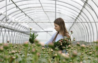 Vooral voor tuinders is 2024 een goed jaar