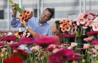 Bloemenhandel dringt aan op handelsakkoord met Britten