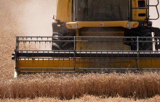 Tarwemarkt heeft oorlog in Oekraïne bijna volledig verwerkt