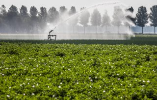 Europese Rekenkamer: coulant landbouwbeleid ondermijnt natuur