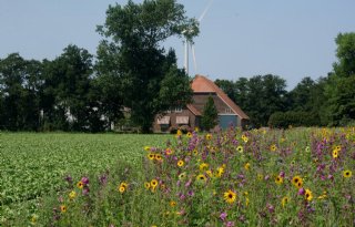 Provincie Noord-Holland gaat plannen landelijk gebied afschalen