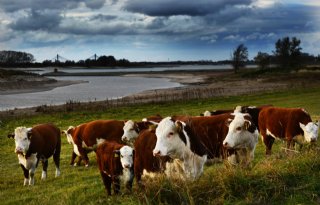 Opnieuw hoogwater verwacht, hoger dan piek in november