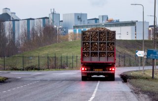 Gemiddelde suikergehalte komt uit op 16,3 procent