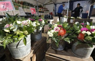 Laagdrempelig certificeren voor kleinschalige tuinders