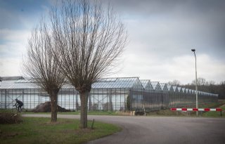 Aardwarmteproject voor tuinbouw in Erica gaat niet door