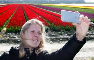 Flevoland krijgt nieuwe omgevingsvisie