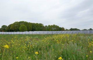 Overijssel staat zonnevelden op landbouwgrond niet meer toe