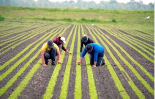 Adema schrapt certificeringskosten kleine biobedrijven