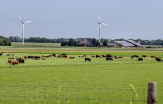 CDA: ontbreken financiering natuurbeheer niet uit te leggen aan boeren