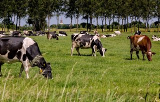 Overijssel zoekt naar maatwerkoplossingen voor PAS-melders