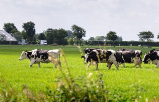 Zorgen Noord-Holland over voortgang van gebiedsprocessen