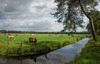 Overijssel dreigt te stoppen met PPLG als steun van Rijk uitblijft