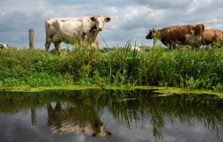 Einde onttrekkingsverbod waterschap Aa en Maas