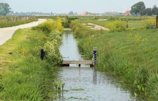 Compensatie voor vernatting veenweiden in Friesland