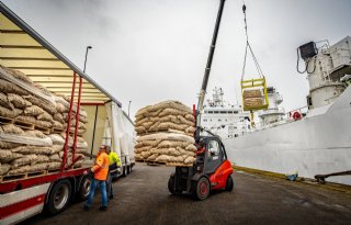 Agrico plukt vruchten van hoger rendement