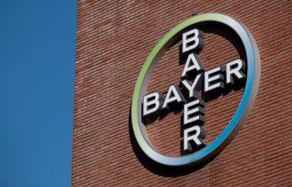 Bayer gaat groentezadenlocatie in Enkhuizen fors verduurzamen