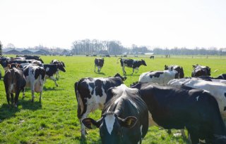 'Eyeopener' voor bedrijfsleven: doelen halen kan met landbouwsector