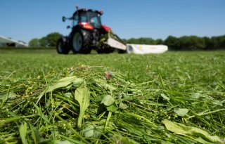 FrieslandCampina start project koolstofvastlegging in grasland