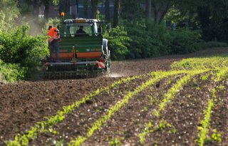 Zoektocht naar vergeten groenten voor meer diversiteit op het bord