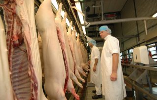 Drie varkensvleesexporteurs staan model in Chinees dumpingonderzoek