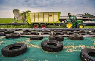 Zomerkuilen van 2023 hebben hoge voederwaarde