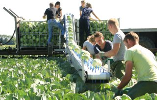 ABN Amro ziet in 2024 herstel van productiegroei landbouw