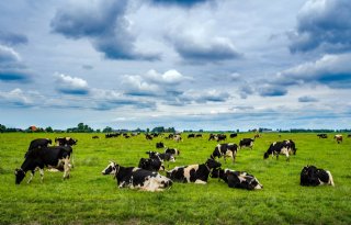 Deel van PAS-melders in Friesland krijgt hulp