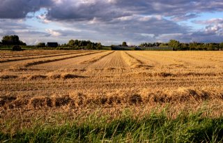 Groot deel Brabant wordt Van Gogh Nationaal Park