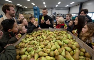 Adema betaalt meer voor schoolfruit na foutje met berekening