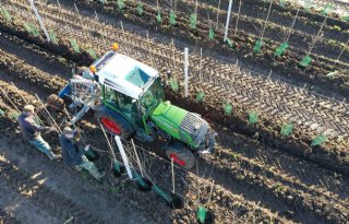 Nieuwe ontheffing voor import plantmateriaal fruitgewassen