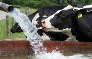 RDA wil aandacht dierenwelzijn in klimaatbeleid