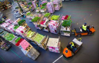 Extra veildag en feestdagen positief voor veilingomzet FloraHolland