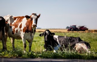 '8 miljard euro nodig voor klimaatdoelen land- en tuinbouw'