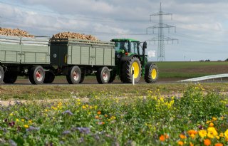 Minder biobedrijven in Duitsland, maar oppervlakte neemt toe