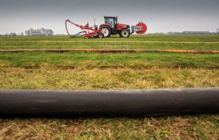 Melkveehouder is vier keer meer kwijt aan mest