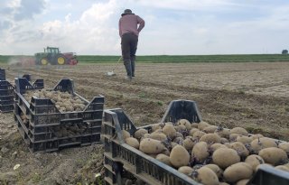 Provincie Groningen: 'Groote Polder wordt geen slibdepot'