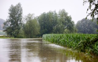 Subsidie voor Limburgse boeren om water vast te houden