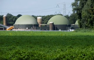 Meer boeren aan de slag met monovergisting