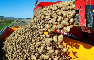 Exportseizoen aardappelen start voortvarend