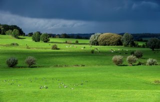 Mogelijke afzwakking van Klimaatambitie onder nieuwe regering