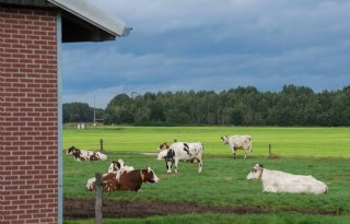 Langetermijnaanpak tegen resistentie antibiotica