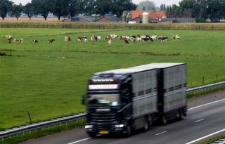 Natuur- en milieuorganisaties na schrappen NPLG: kabinet laat natuur vallen