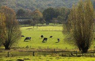 Areaal agrarisch gebied daalt licht