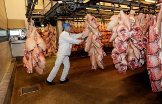 Duitsland slacht minder varkens in eerste vijf maanden