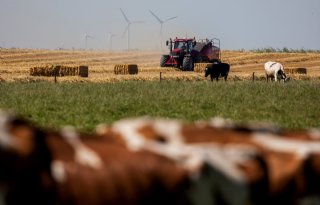 Ministerie schrapt deadline voor natuurplannen