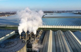 Energieverbruik en CO2-emissie in glastuinbouw dalen