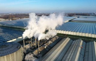 Glastuinders mogen CO2-ruimte volgend jaar verrekenen