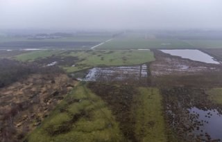 BBB Drenthe wil rem op natte natuur vanwege blauwtong